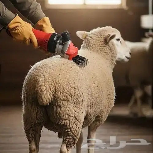 900W Electric Pet Grooming Clippers 6Speed Professional Prec 4