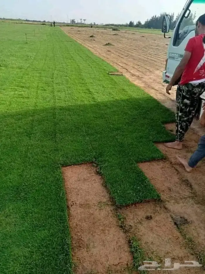 تيل سي2000 صافي وطبيعي الموقع الخرج يوجد 6