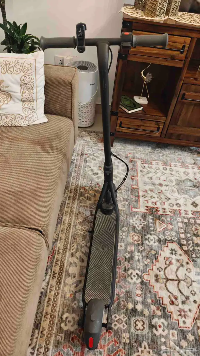 Ninebot Zing C20 2