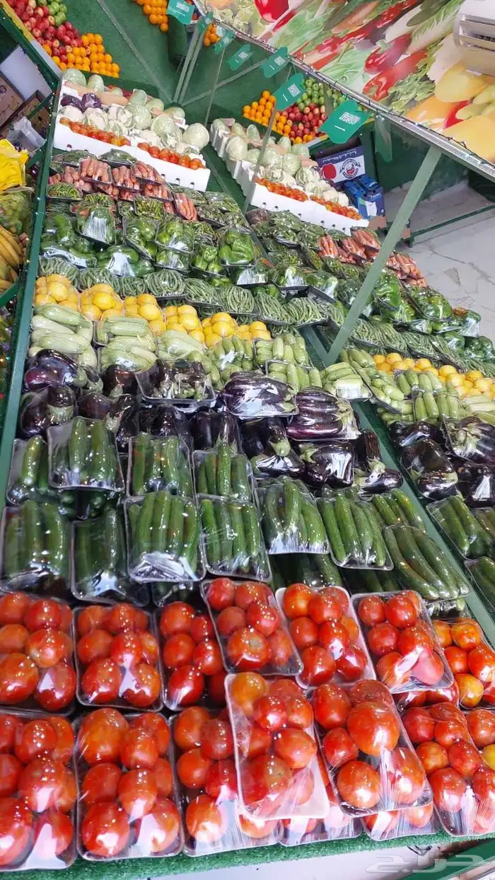 بيع عاجل - محل خضار قائم في تبوك محل خضار قائم ومربح معروض 2