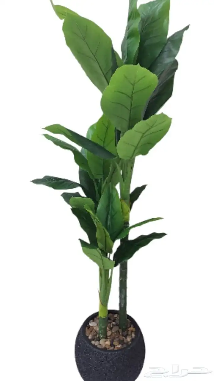 Artificial trees and plants of supreme beauty and appearance 3