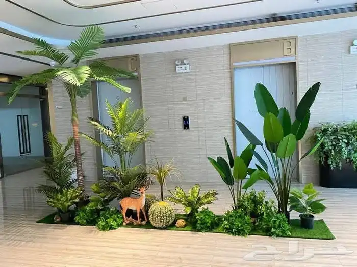 مؤسسة زهرة الخليج الزراعية -نجران -دحضة تنسيق الحدائق 2