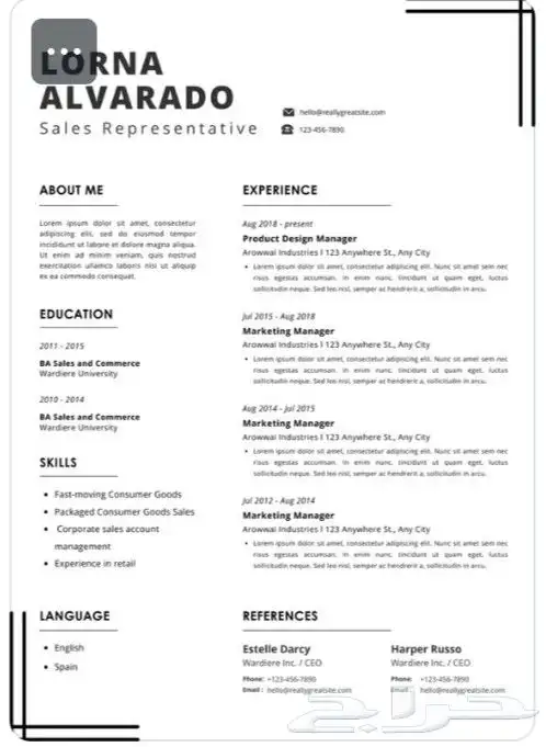 تصميم سيرة ذاتية احترافية CV تسليم خلال ساعة 6