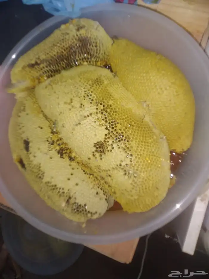 Wild Samr honey pure per kilo for 100 Address Bareq 3