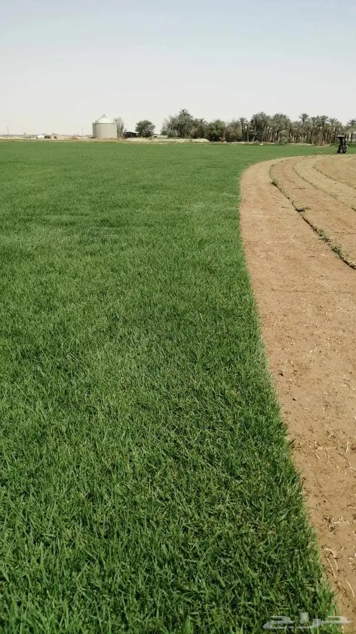 Excellent firstclass natural gas C2000 free of mixing 4