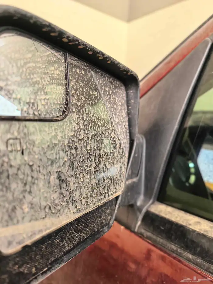 فورد اكسبيدشن 2015 1