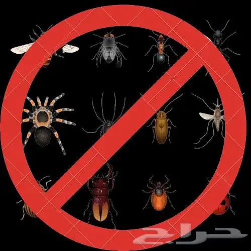 Pest Control Spraying Company Cockroach Ant Bedbug Spraying 3