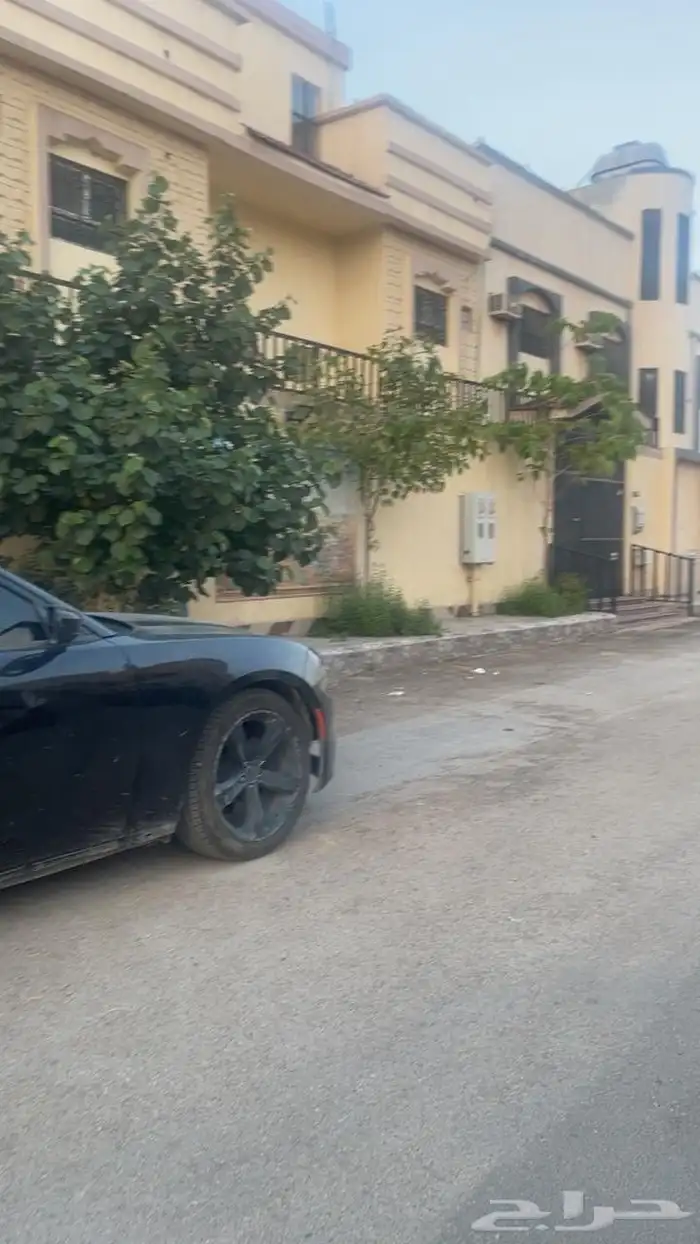 فلا للبيع 2