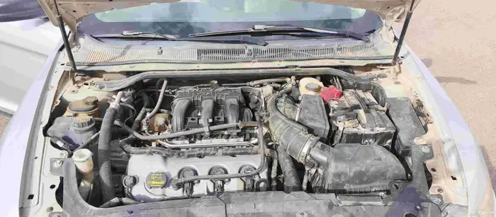 Clean Taurus 2011 distinctive plate 12