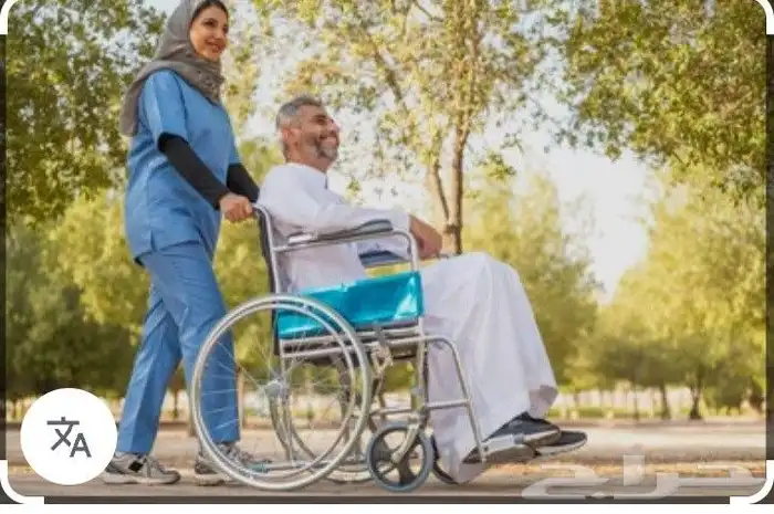 Companions Companions Nurses and Nurses 1