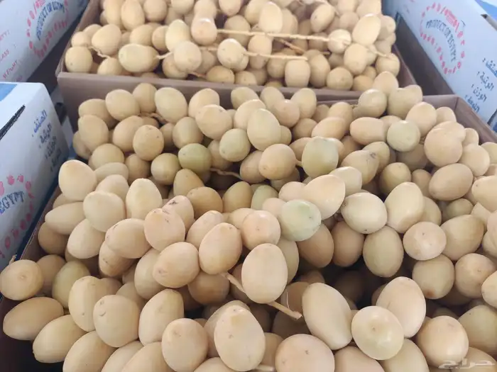 Karma Agricultural Consulting Company 7