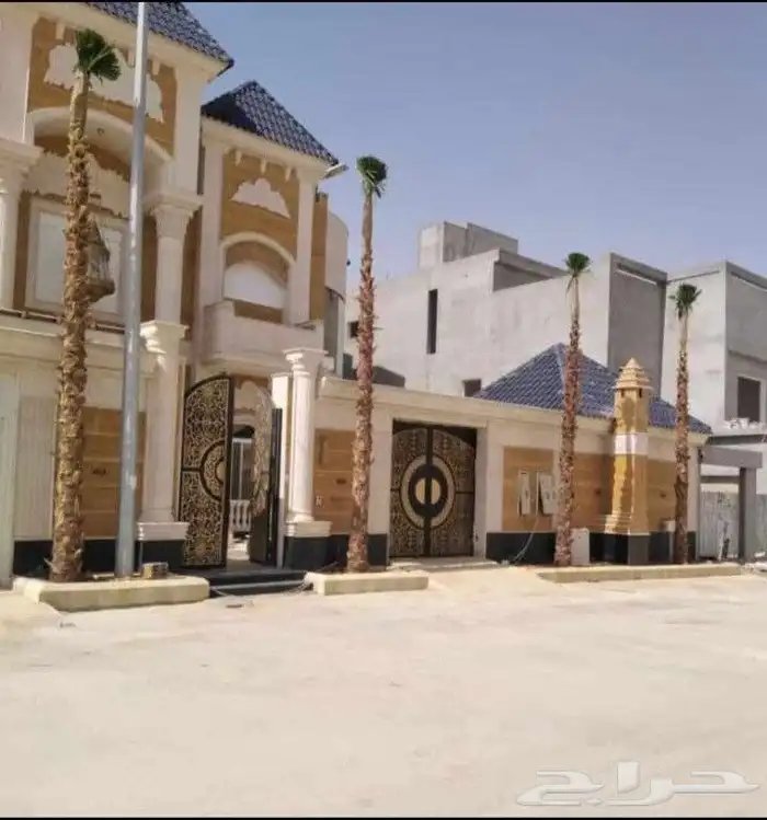 نخيل واشنطنيا زينه جميع المقاسات 7