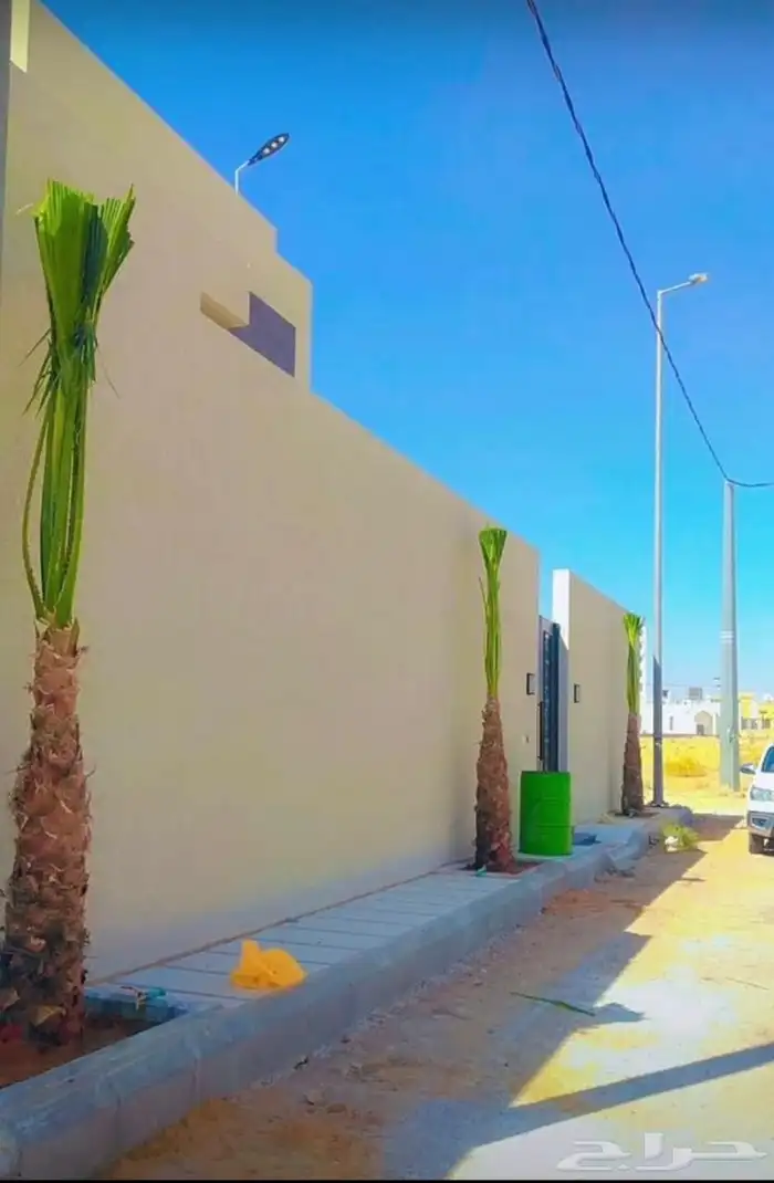 نخل للبيع 6