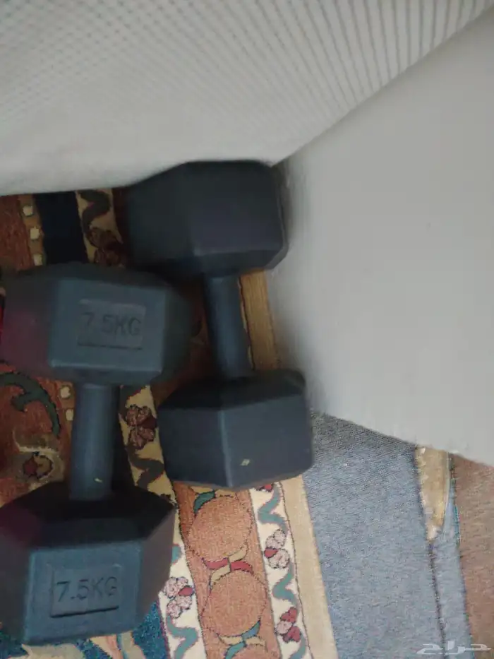 Bedroom treadmill gas cylinder and microphone for recording 11