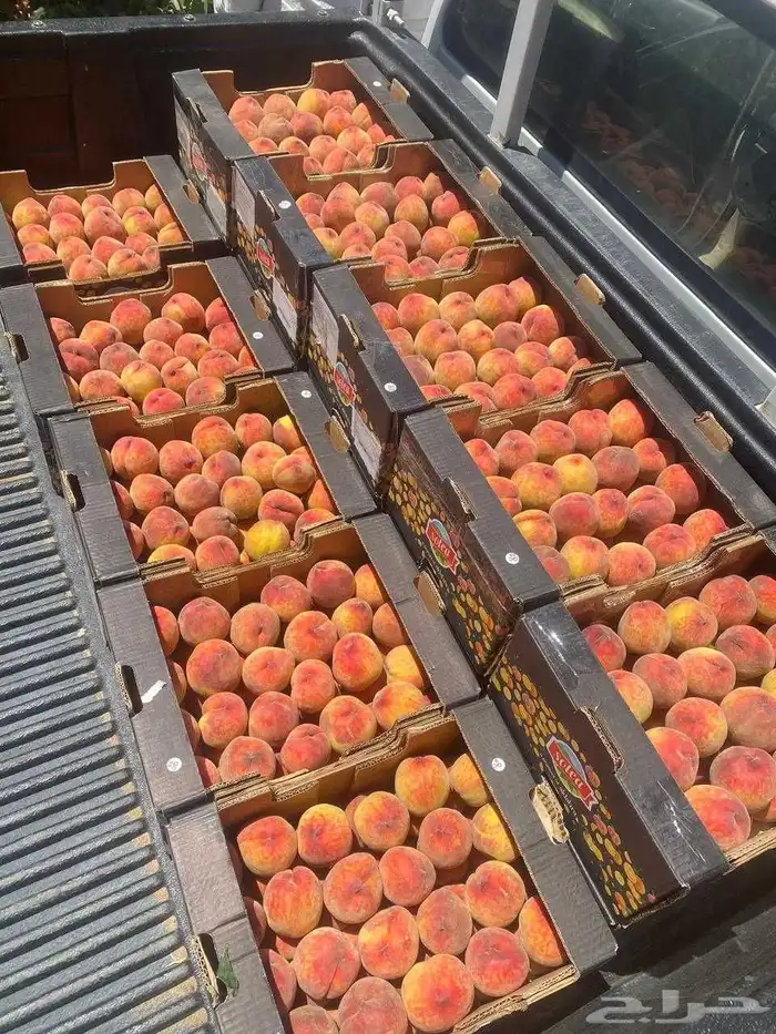 شركة كارما للاستشارات 6