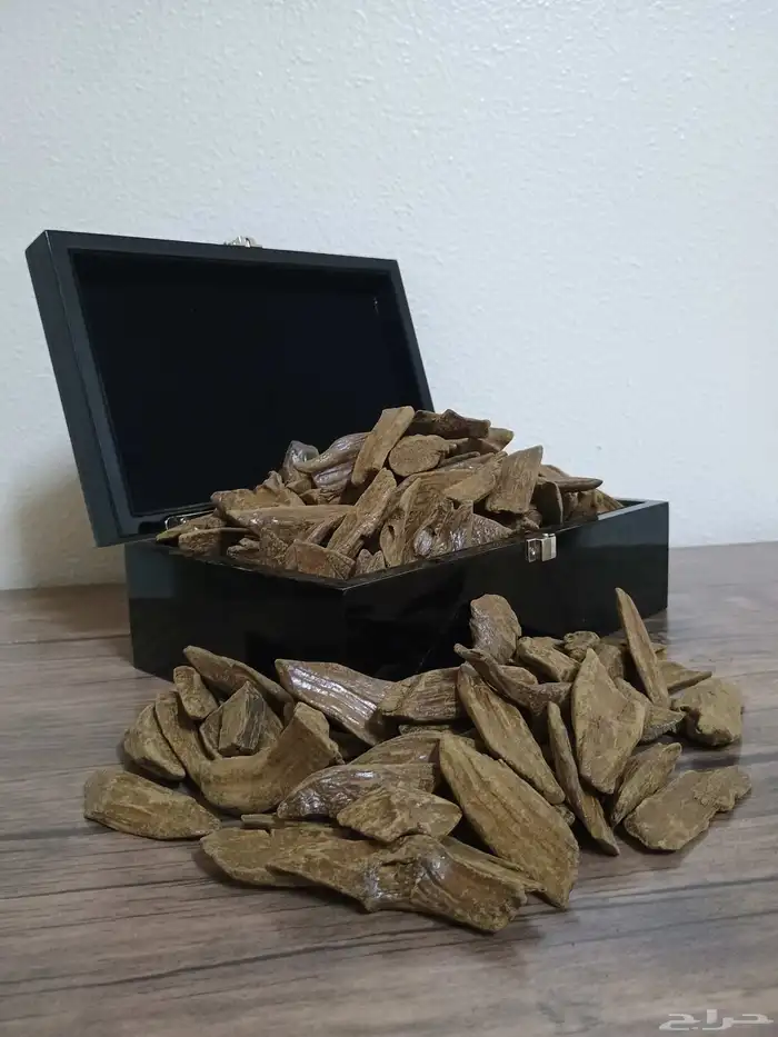 غود المناسبات 2