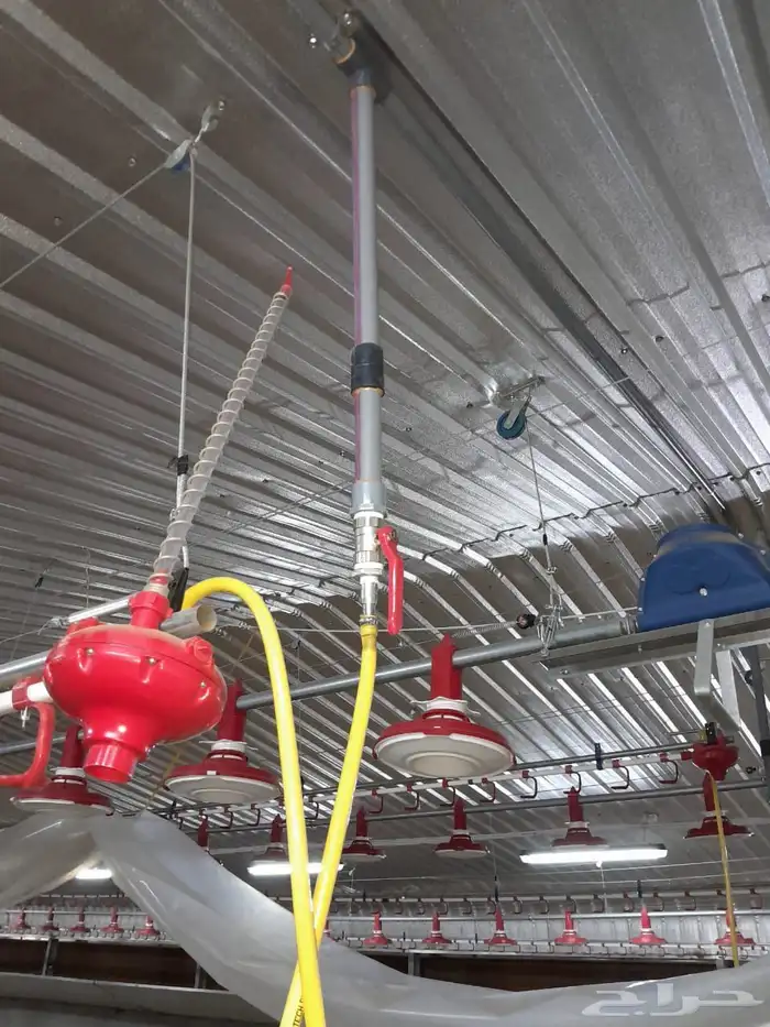 Blacksmith Teacher 1