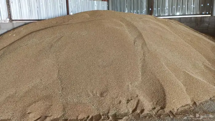 Premium Organic Sama Local Wheat 1
