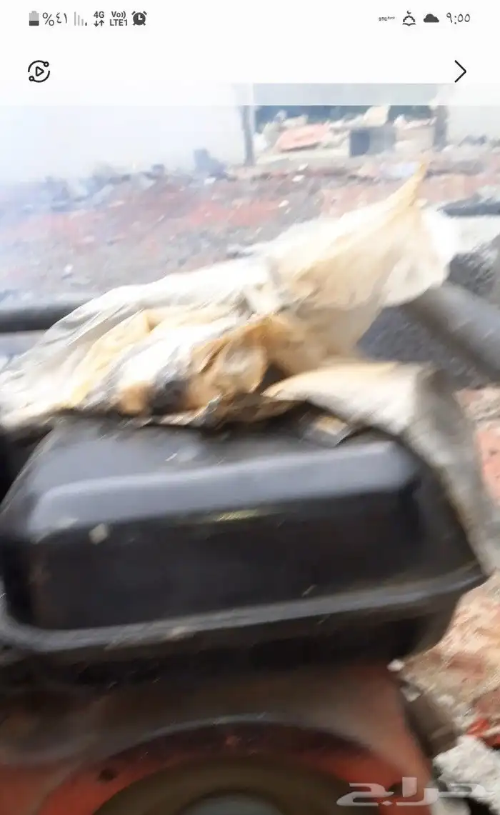 Honda developer sale 2