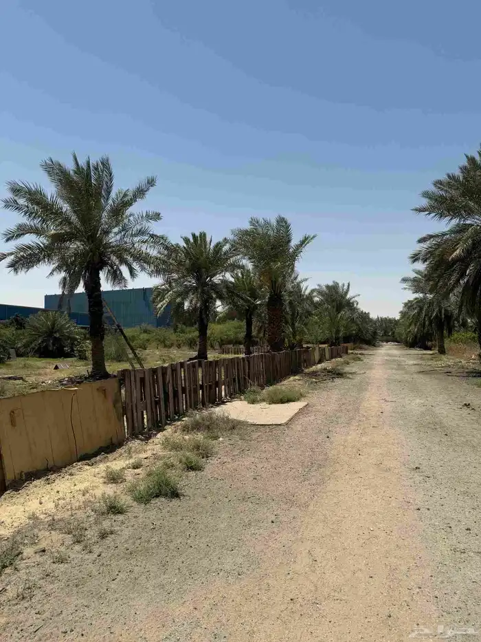 ارض زراعي للبيع الجبيل الصناعيه طريق ابوحدريه 3