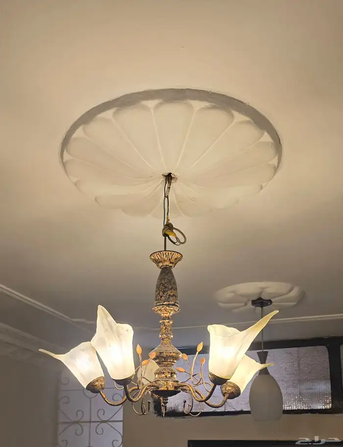 Various Chandeliers 8