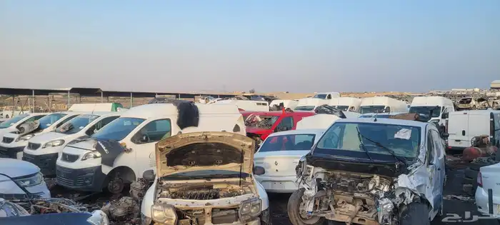 Renault Salvage 3