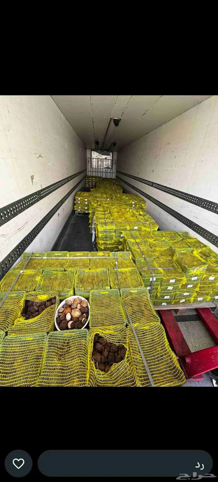 My local cucumbers Dates and raisins 1