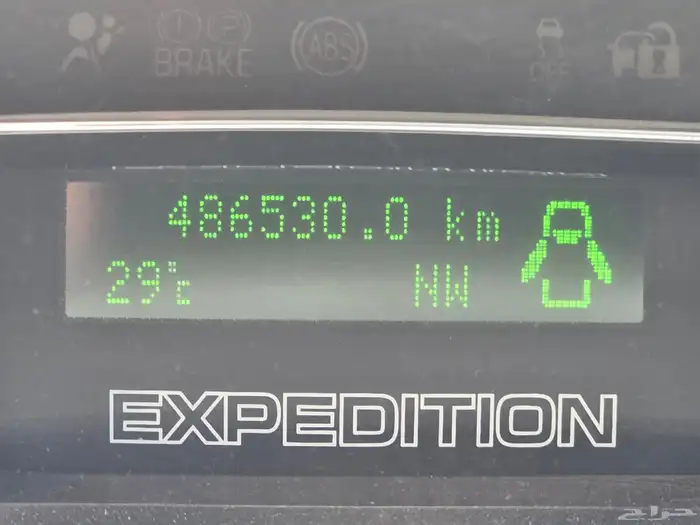 Expedition 2013 XLT Short 29