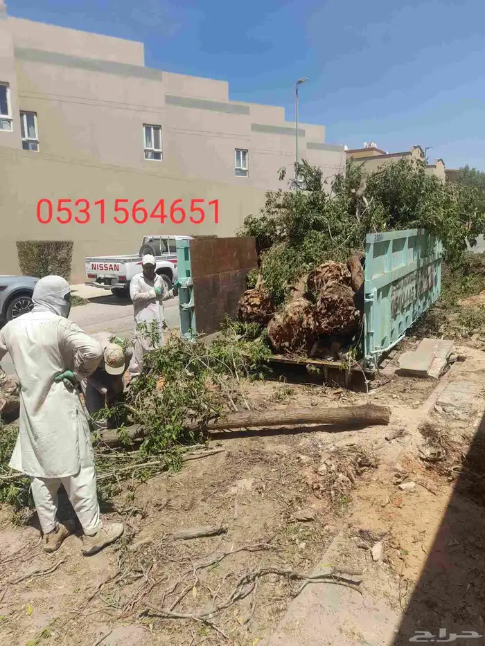 Palm pruning palm maintenance for farms rest houses palaces 1