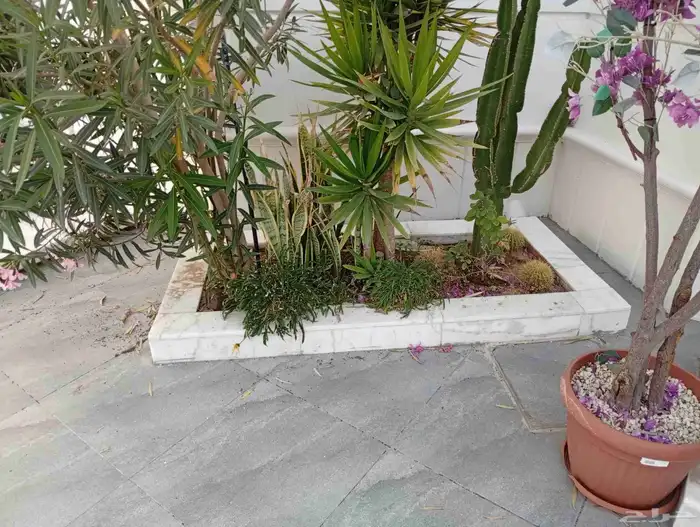 Shehar Nursery Everything for Indoor and Outdoor Gardens 1