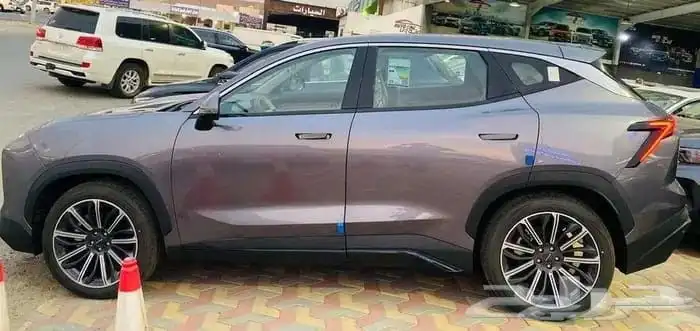 Jetour Dashang Luxury 24 8