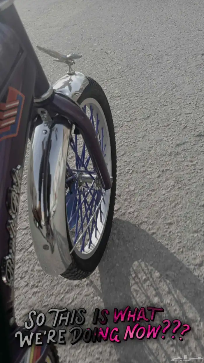 Rambo purple bicycle size 20 3