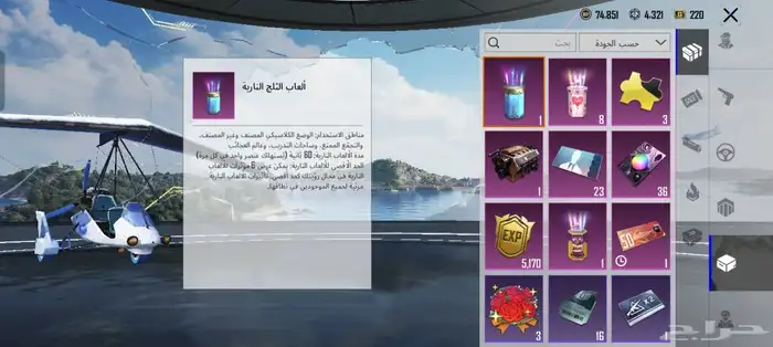 PUBG Account for Sale 38