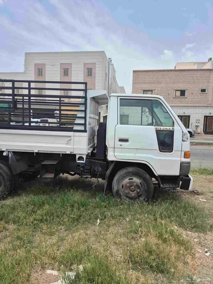 دينا قلاب 91 1