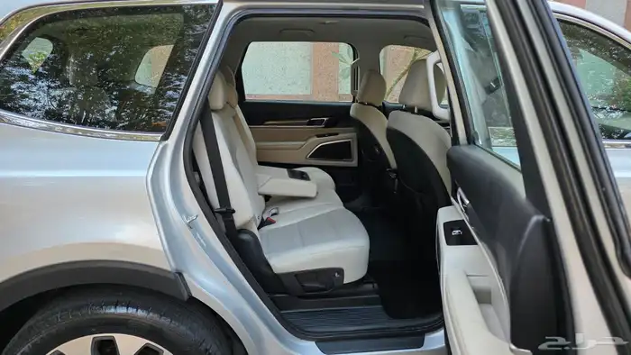 Kia Telluride 2021 13