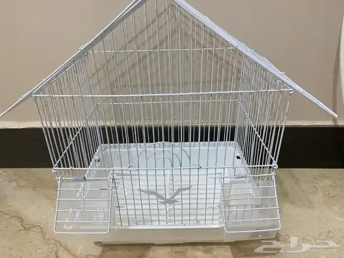 Hamster 6