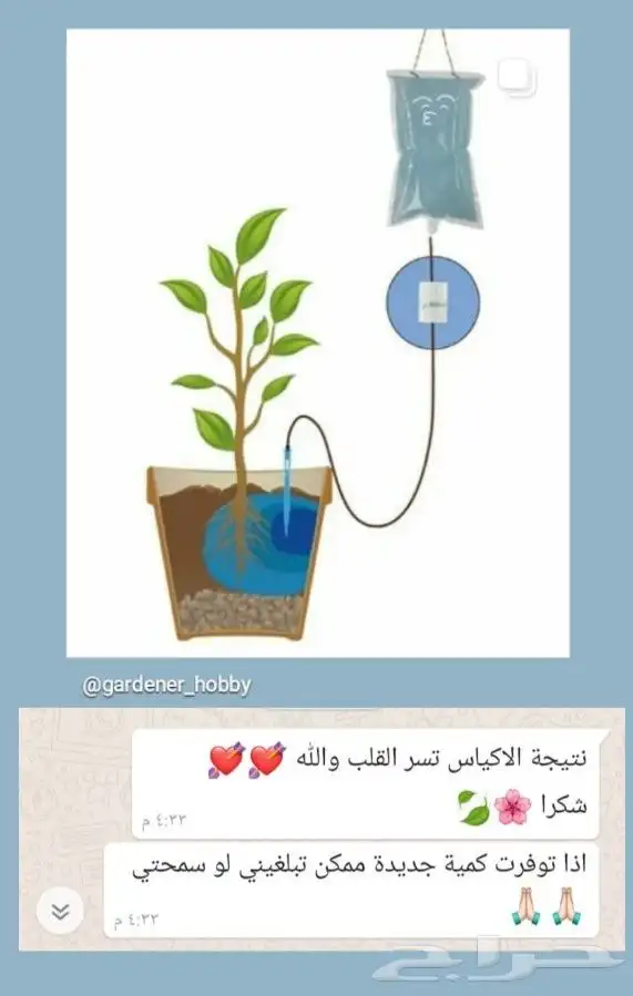 كيس ري ذاتي 1