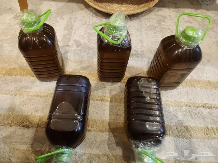 Palestinian Olive Oil 1