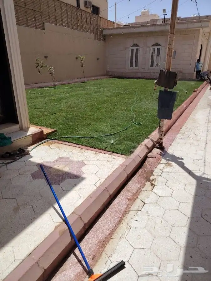 عشب طبيعي C2000 فرنسي 1